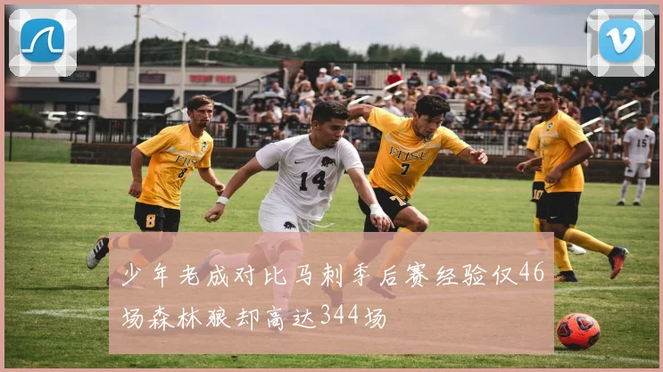 少年老成对比马刺季后赛经验仅46场森林狼却高达344场